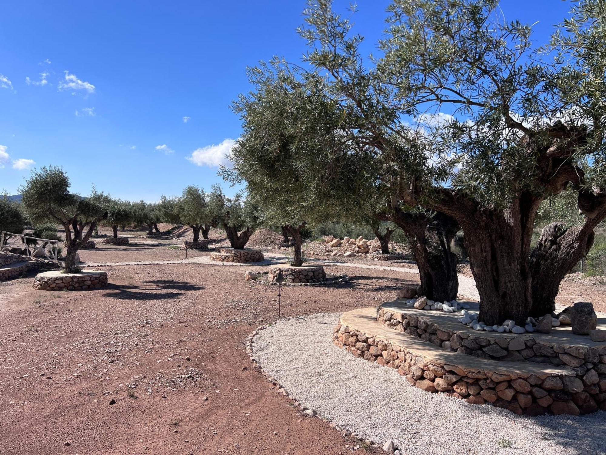 Casa Algezar Villa Hondon de las Nieves ภายนอก รูปภาพ